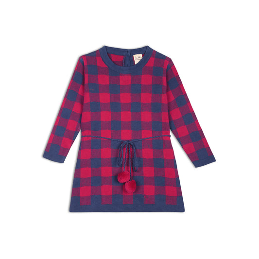 Red and Navy Plaid Dress